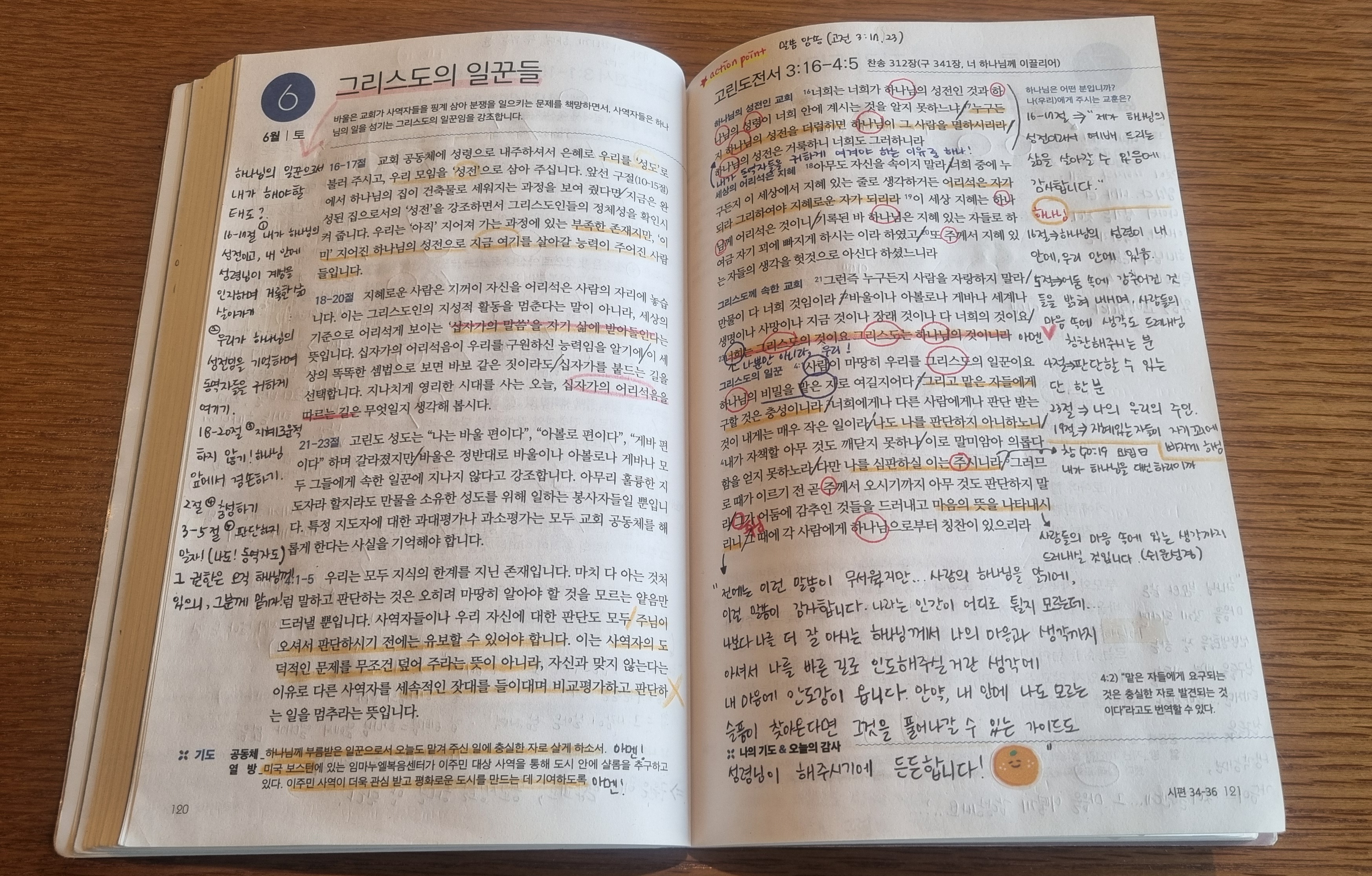 KakaoTalk_20260616_171625718.jpg